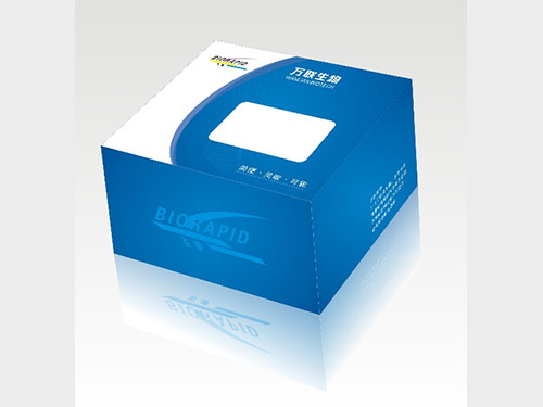 包裝盒、彩盒3